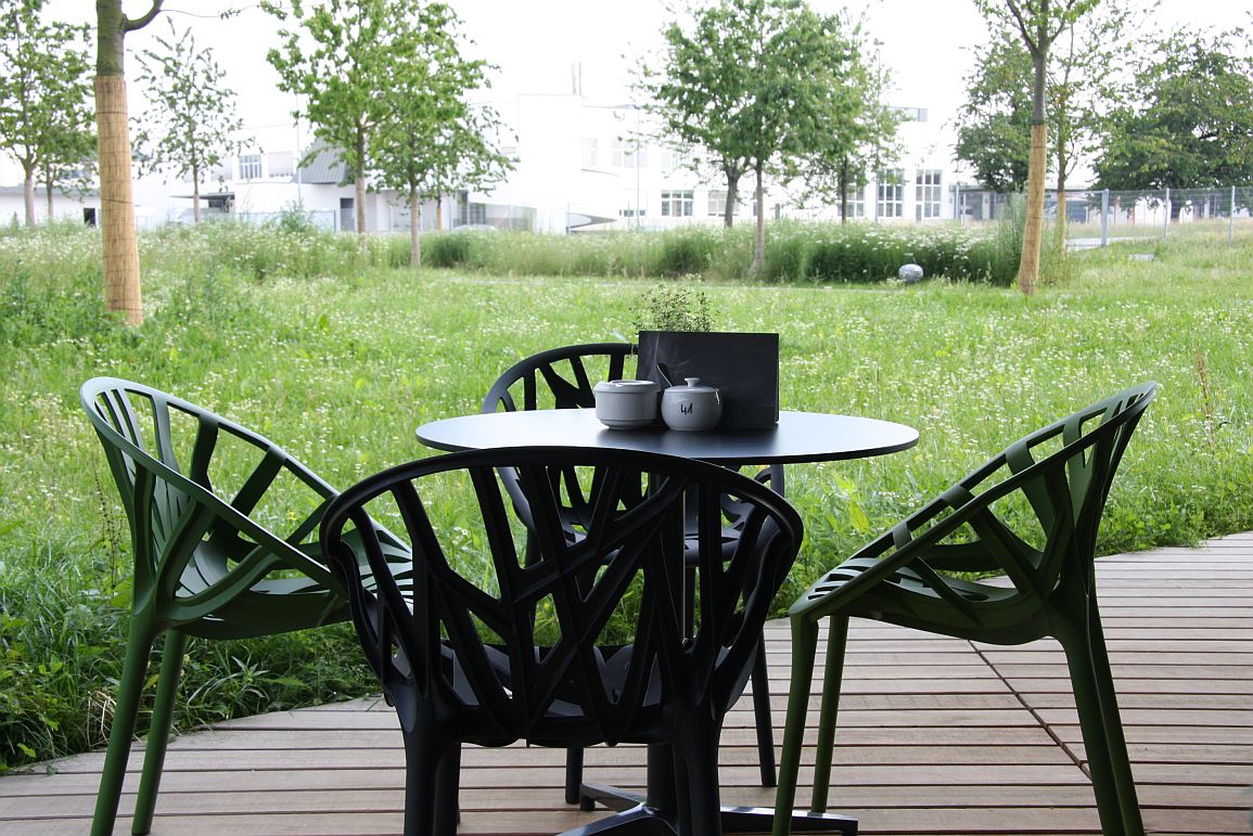 乐竞平台 - 坐具|餐椅|办公家具|设计师家具|植物餐椅